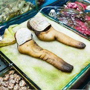 Geoduck Clam