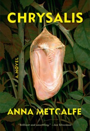 Chrysalis (Anna Metcalfe)