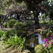Self-Realization Fellowship Meditation Gardens