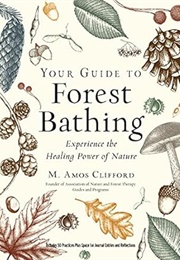 Your Guide to Forest Bathing (M. Amos Clifford)
