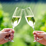 Prosecco in Prosecco, Italy