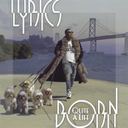 Lyrics Born - Quite a Life