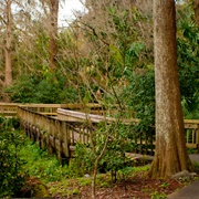 Harry P. Leu Gardens