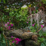 Arboretum & Botanical Gardens