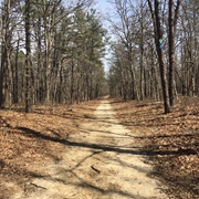 Brookhaven State Park, New York