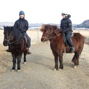 Riding on an Icelandic Horse, Iceland