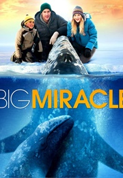 Big Miracle (2012)