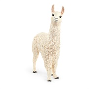 Toy Llama