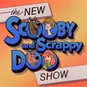 The New Scooby and Scrappy Doo Show