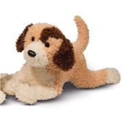 Toy Labradoodle