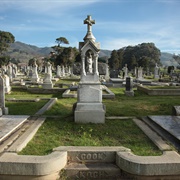 Colma Necropolis