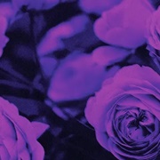 Dark Beach - Pastel Ghost