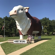 Albert the Bull