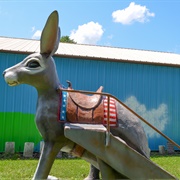 Henry's Rabbit Ranch