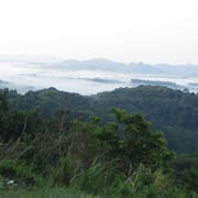 Kalinzu Central Forest Reserve, Uganda