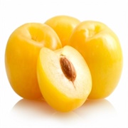 Yellow Plum