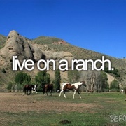 Live on a Ranch