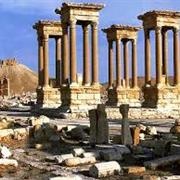 Palmyra