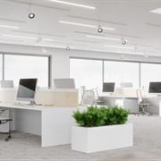 Open Concept Shared Office