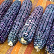 Blue Clarage Corn