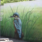 Onthaalpaviljoen Moeras Van Jette