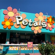 Petals Pool Bar