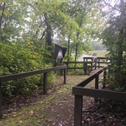 Kessler Swamp State Nature Preserve