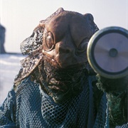 The Sea Devils