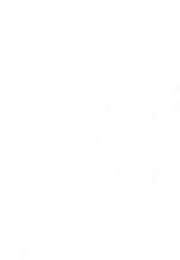 Researching Raymond Burke (2002)