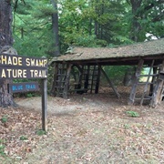 Shade Swamp Sanctuary