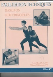 Facilitation Techniques Based on Ndt Principles (Lois Bly)