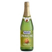 Welch's Sparkling Caramel Apple Juice