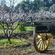 Orchard Heritage Park