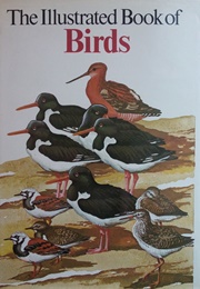 The Illustrated Book of Birds (Bruce Campbell)