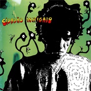 O Ciclo Da Decadência (Cidadão Instigado)