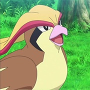 Ash's Pidgeot