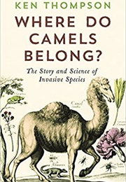 Where Do Camels Belong? (Ken Thompson)