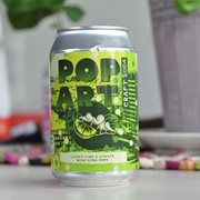 Pop Art Loopy Lime & Ginger