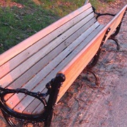 Jamaica Pond Bench