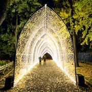 Lightscape at Brooklyn Botanic Garden