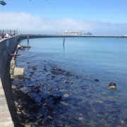 Aquatic Park Tombstones