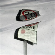 Slowthai - T N Biscuits - Single