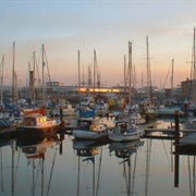 Hartlepool Marina