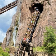 Disney's Animal Kingdom, Florida