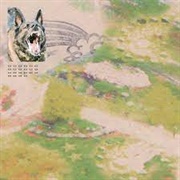 Feeble Little Horse - Girl With Fish