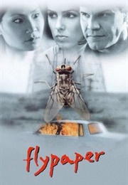 Flypaper (1999)