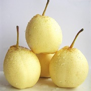 Ya Pear (Pyrus × Bretschneideri)