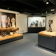 Berman Museum of World History