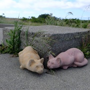 Nike Missile Radar Site
