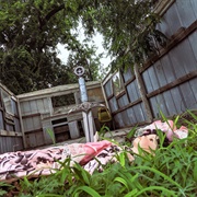 Escape Room (Rural Internet, 2021)